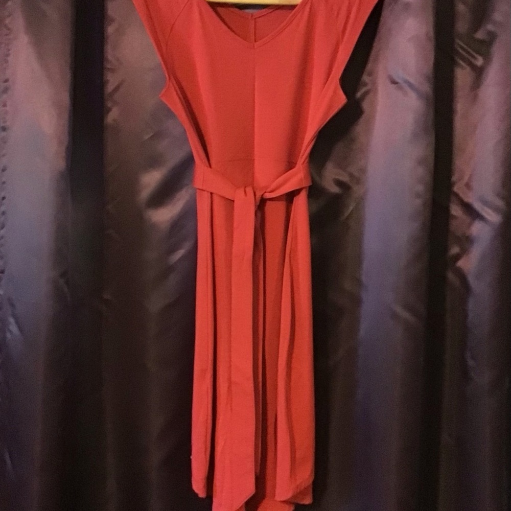 Smart wool red small dress